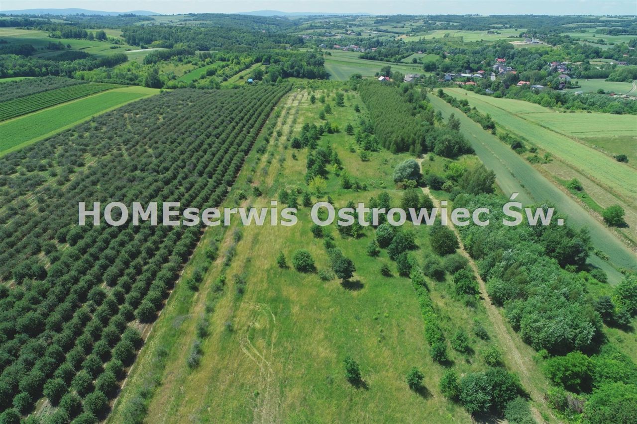Działka budowlana Ostrowiec Świętokrzyski Częstocice. Zdjęcie 3