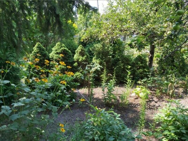 Działka rekreacyjna Warszawa Targówek, ul. Odrowąża. Zdjęcie 1