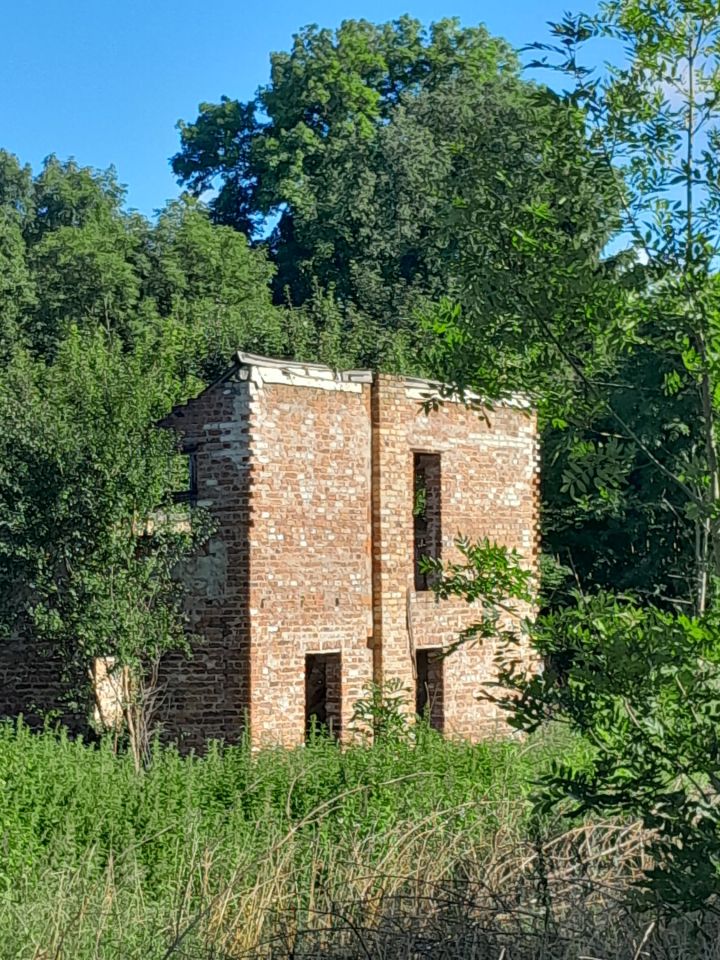 Działka siedliskowa Borkowice. Zdjęcie 17