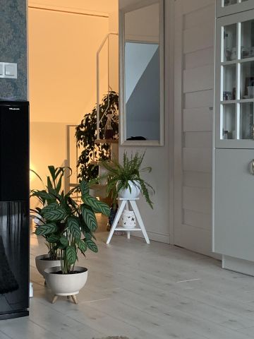 Mieszkanie 4-pokojowe Dębogórze, ul. Owsiana. Zdjęcie 1