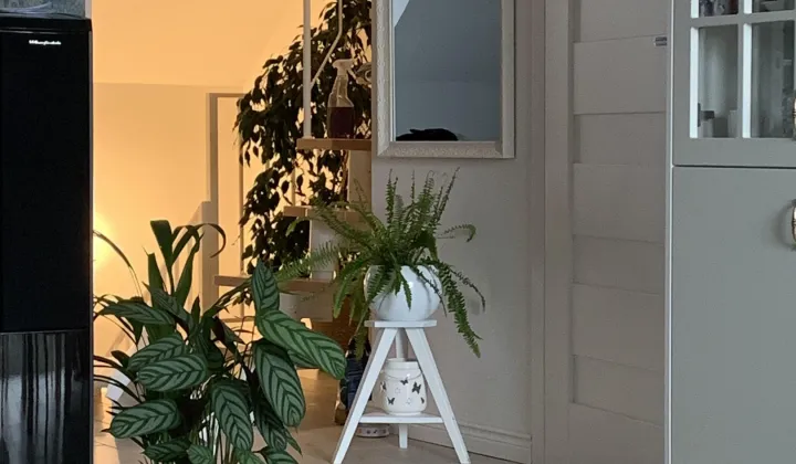 Mieszkanie 4-pokojowe Dębogórze, ul. Owsiana