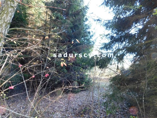 Działka budowlana Biały Ług. Zdjęcie 18