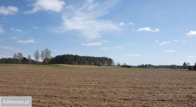 Działka rekreacyjna Lipy. Zdjęcie 1