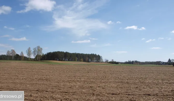 Działka rekreacyjna Lipy