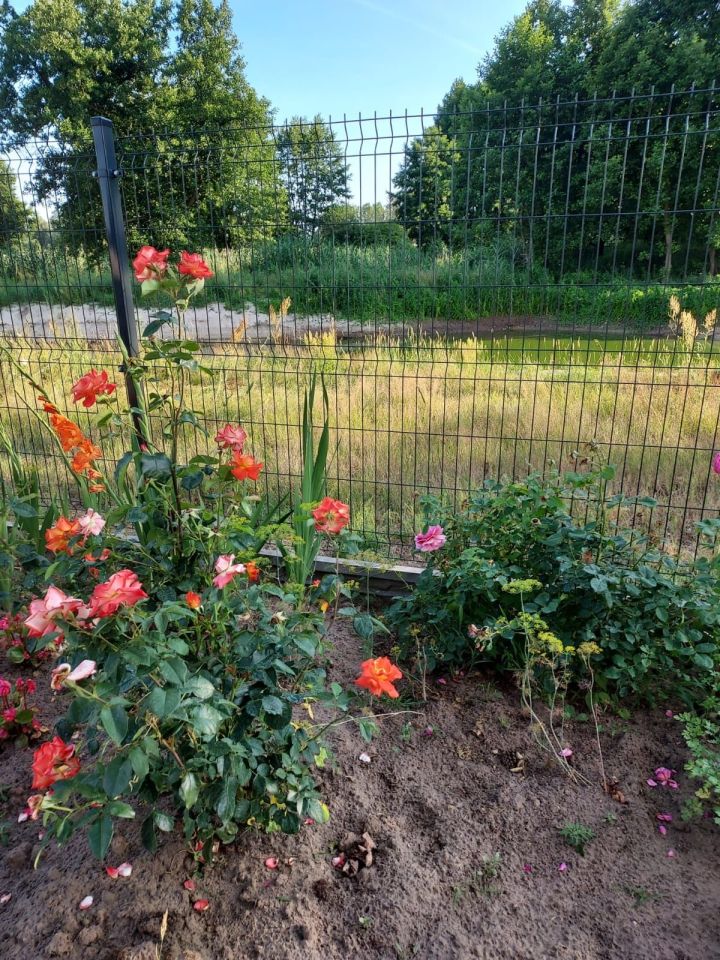 Działka budowlana Brody, ul. Wschodnia. Zdjęcie 8
