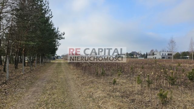 Działka siedliskowa Lipków. Zdjęcie 2