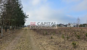 Działka siedliskowa Lipków