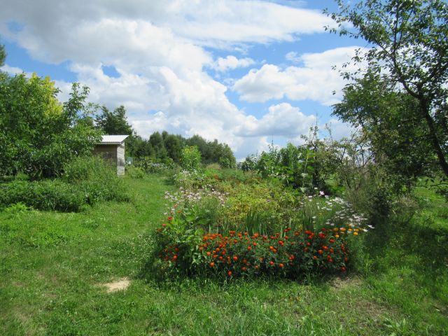 Działka rolno-budowlana Kleszczów. Zdjęcie 2