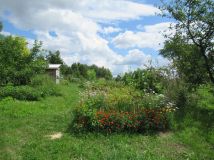 Działka rolno-budowlana Kleszczów. Zdjęcie 1