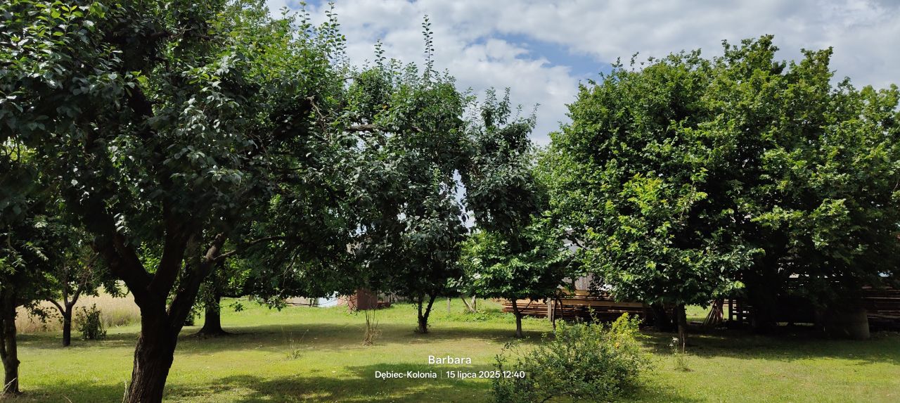 siedlisko, 2 pokoje Dębiec-Kolonia. Zdjęcie 4