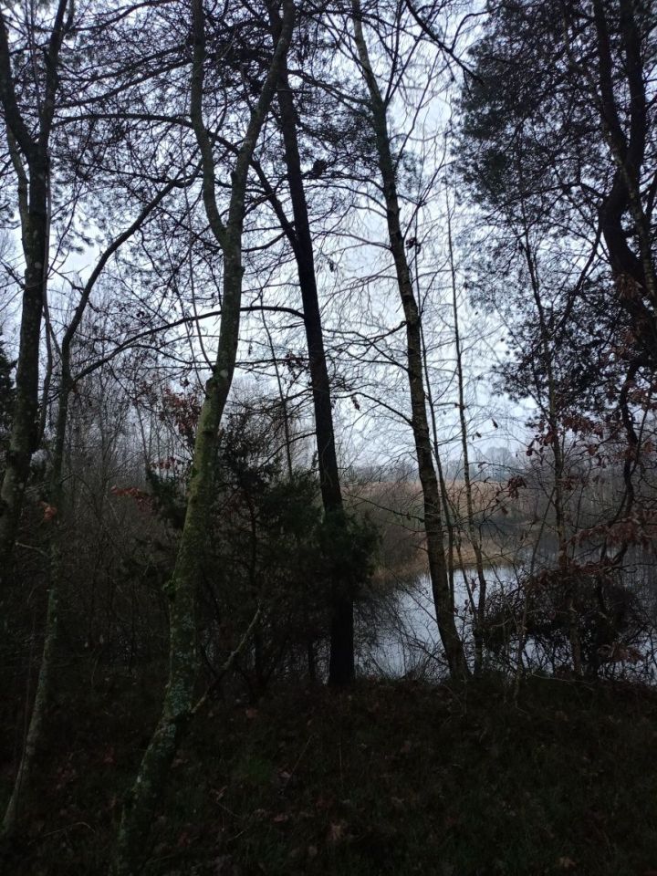 Działka rolna Mściszewice Bębny. Zdjęcie 3