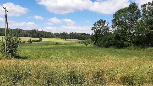 Działka rolno-budowlana Planteczka. Zdjęcie 1