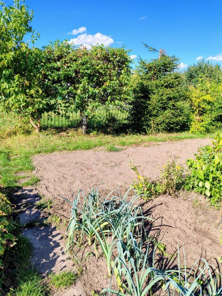 Działka rekreacyjna Świdwin. Zdjęcie 5