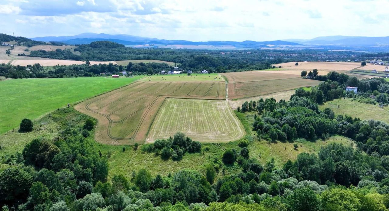 Działka rekreacyjna Wojciechowice. Zdjęcie 5