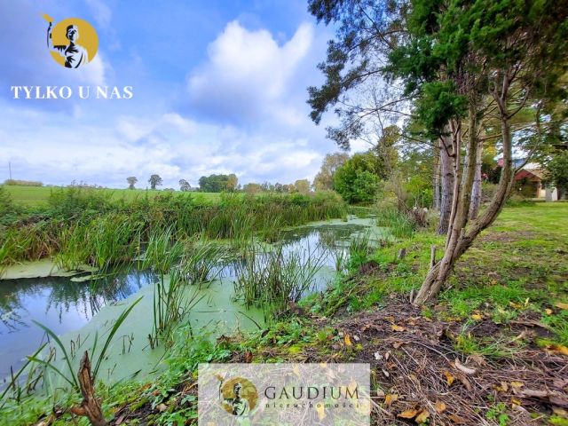 dom wolnostojący, 3 pokoje Tropiszewo. Zdjęcie 8