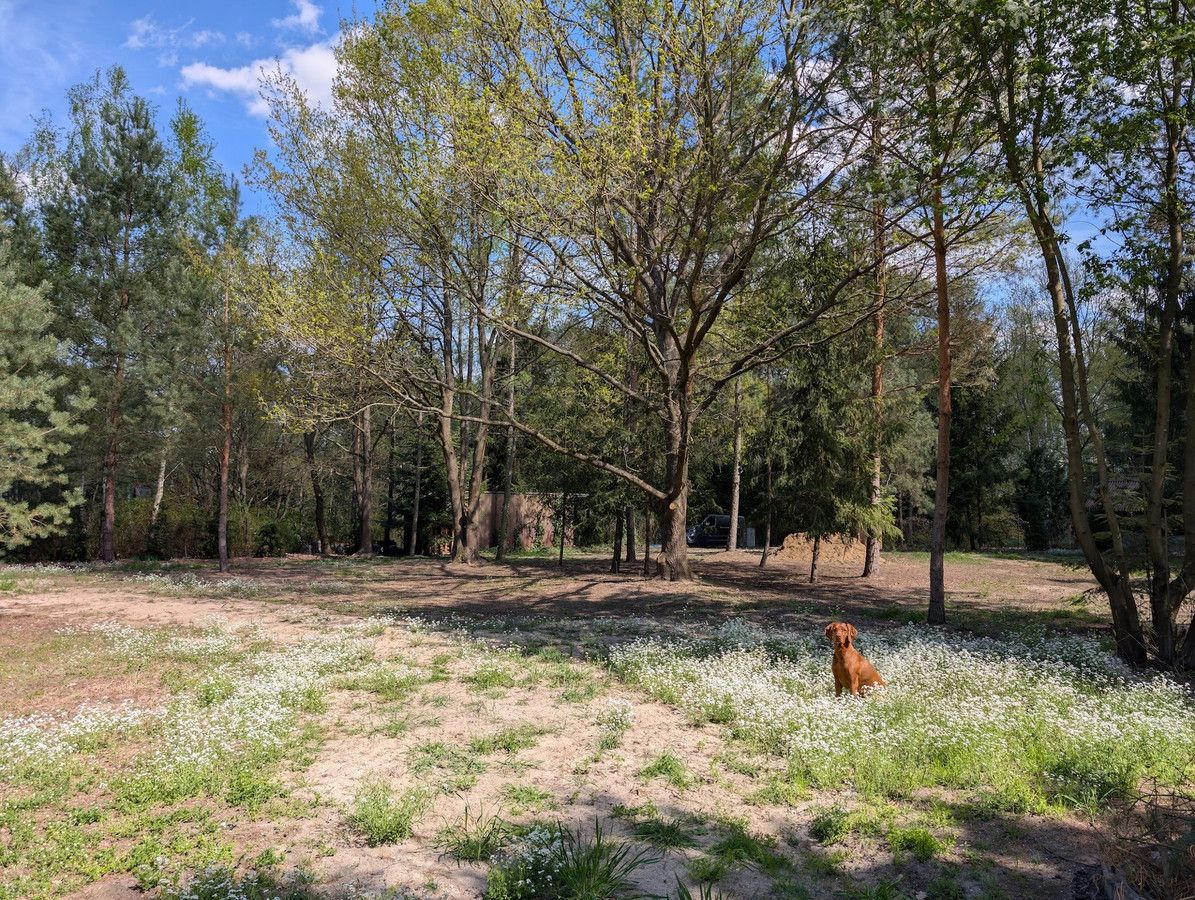 Działka budowlana Śladów. Zdjęcie 6