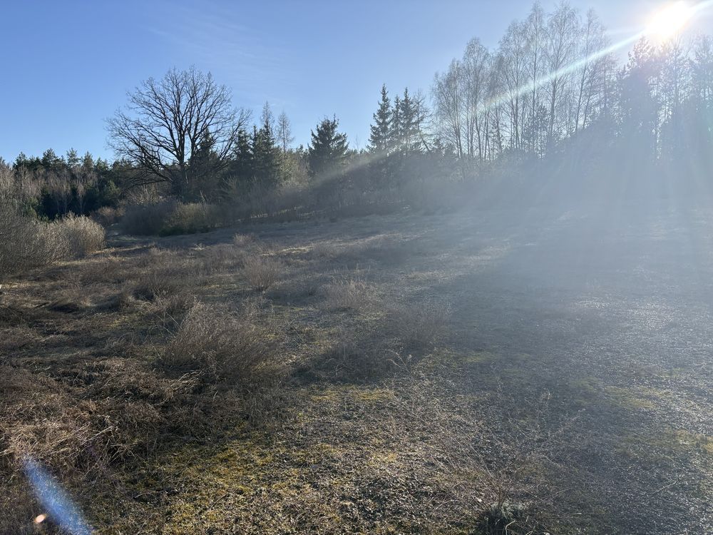 Działka budowlana Mały Dólsk. Zdjęcie 7