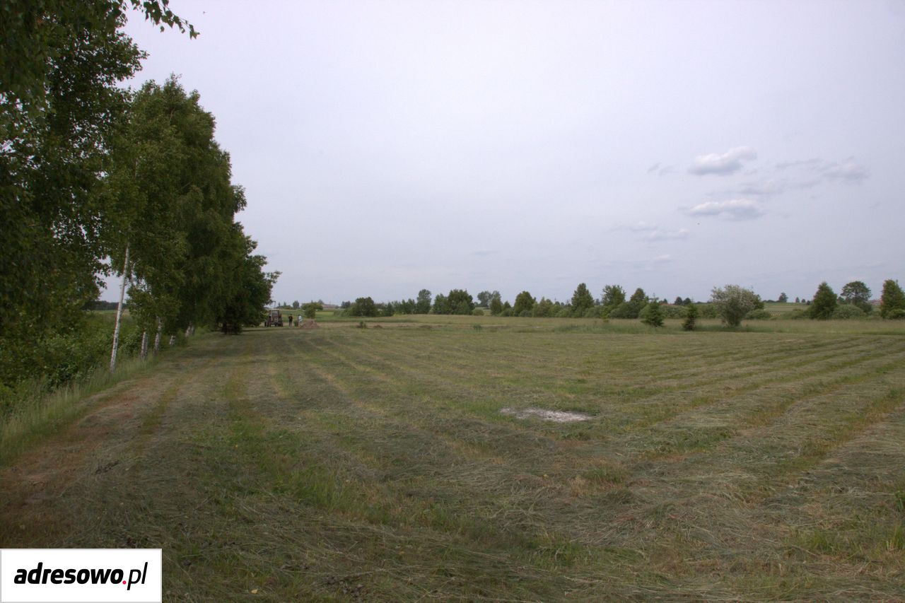 Działka siedliskowa Modrzewie. Zdjęcie 2