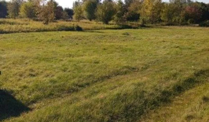Działka budowlana Józefów, ul. Orzechowa