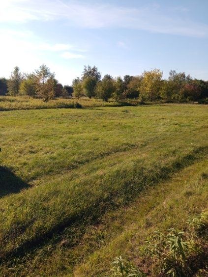 Działka budowlana Józefów, ul. Orzechowa. Zdjęcie 1