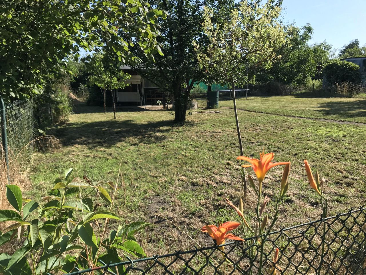 Działka rod Wrocław Stabłowice, ul. Piechowicka. Zdjęcie 11