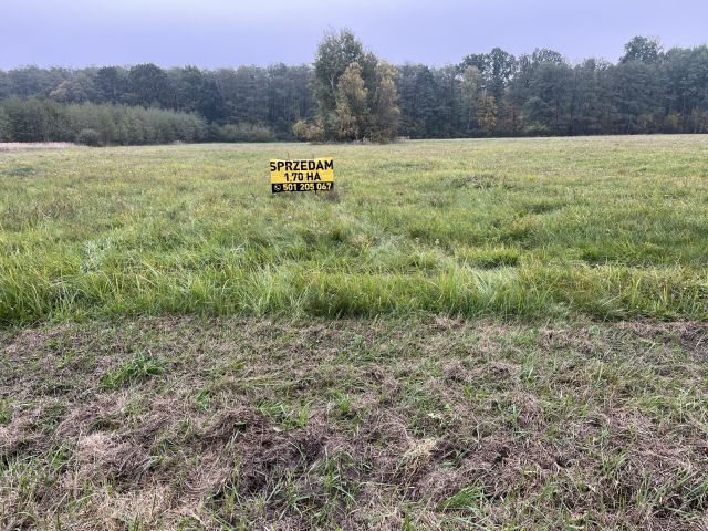 Działka budowlana Podlasie, ul. Główna. Zdjęcie 1