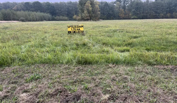 Działka budowlana Podlasie, ul. Główna