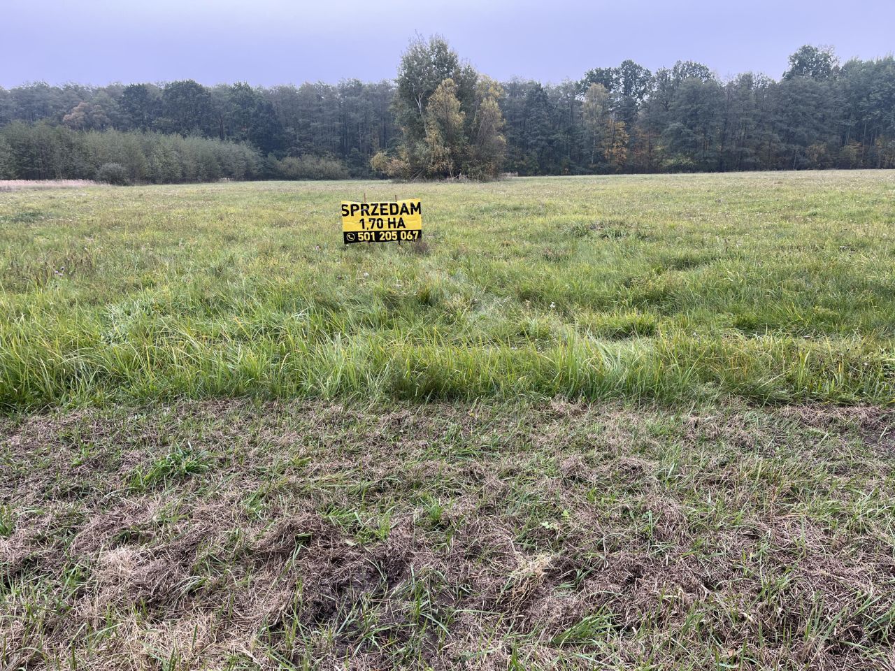 Działka budowlana Podlasie, ul. Główna. Zdjęcie 1