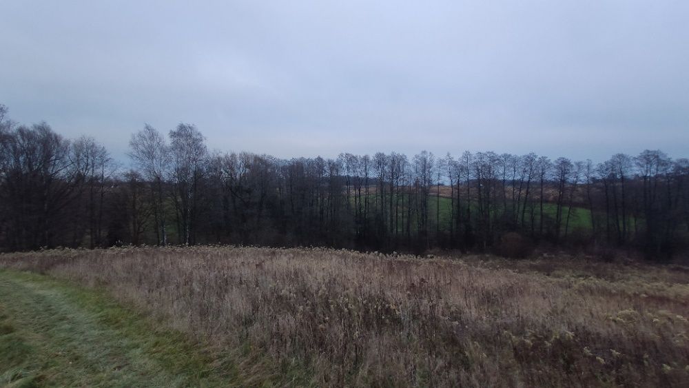 Działka rolna Rzeczyca. Zdjęcie 2