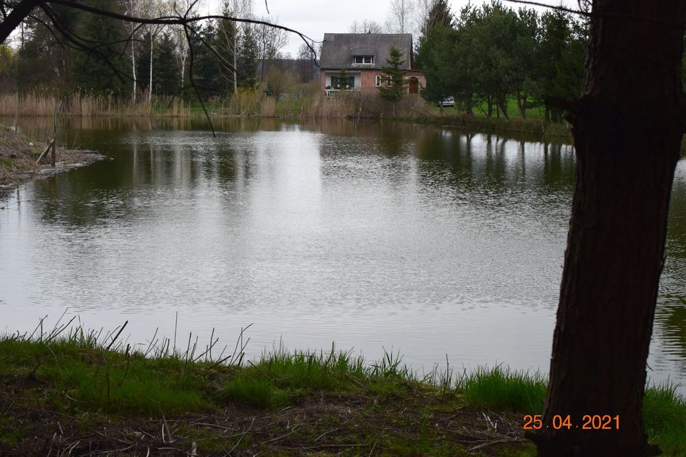 Działka rekreacyjna Surhów-Kolonia. Zdjęcie 7