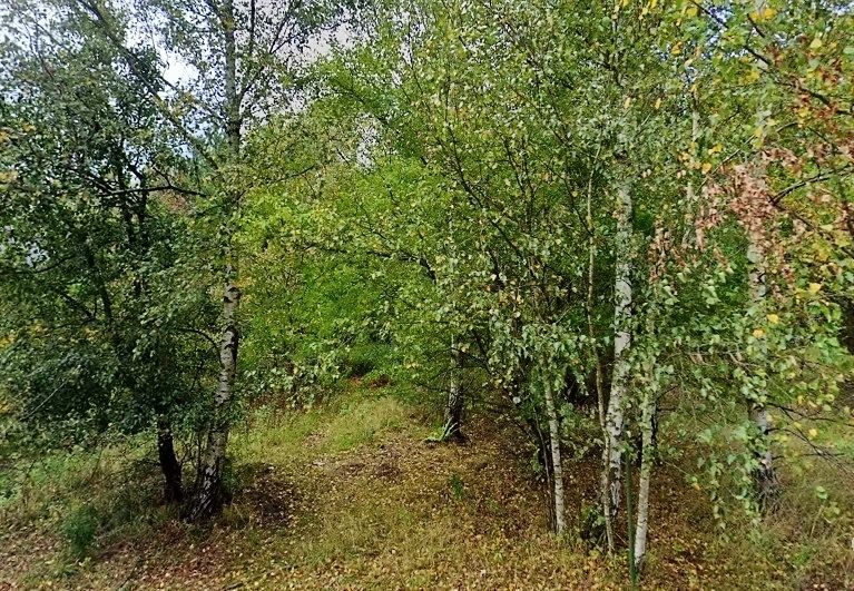 Działka budowlana Dębogóra, ul. Kalinowa. Zdjęcie 2