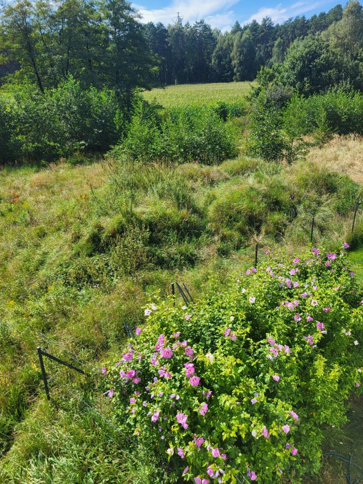 Działka budowlana Radomia Orzewo. Zdjęcie 27