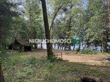 Działka leśna Głębockie Pierwsze. Zdjęcie 4