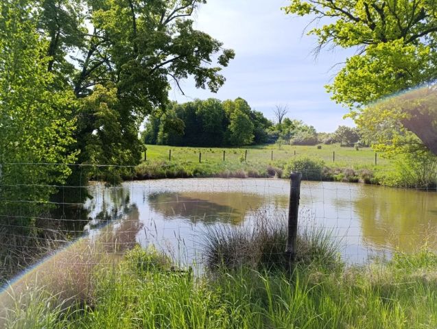 Działka rolna Pieszkowice. Zdjęcie 1