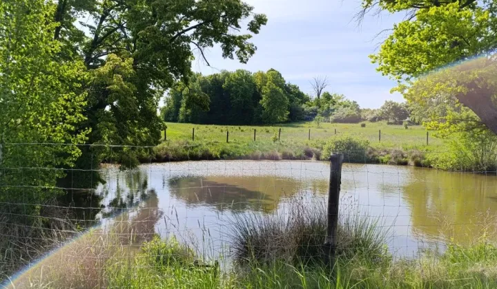 Działka rolna Pieszkowice