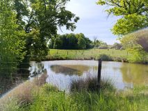 Działka rolna Pieszkowice