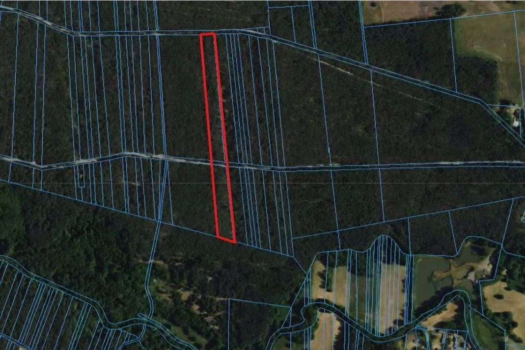 Działka leśna Jeruzal. Zdjęcie 2