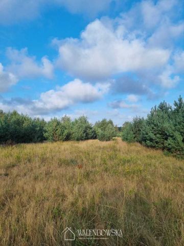 Działka Smołdzino. Zdjęcie 3