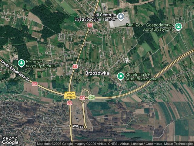 Działka rolna Brzozówka, bez nazwy. Zdjęcie 1