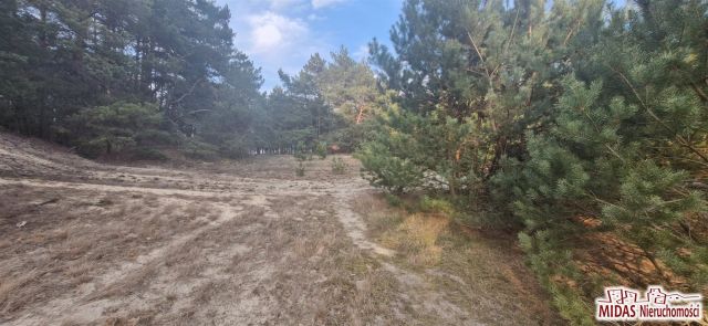 Działka budowlana Kowal. Zdjęcie 6