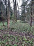 Działka rolna Białka Tatrzańska, ul. Pod Grapą. Zdjęcie 3