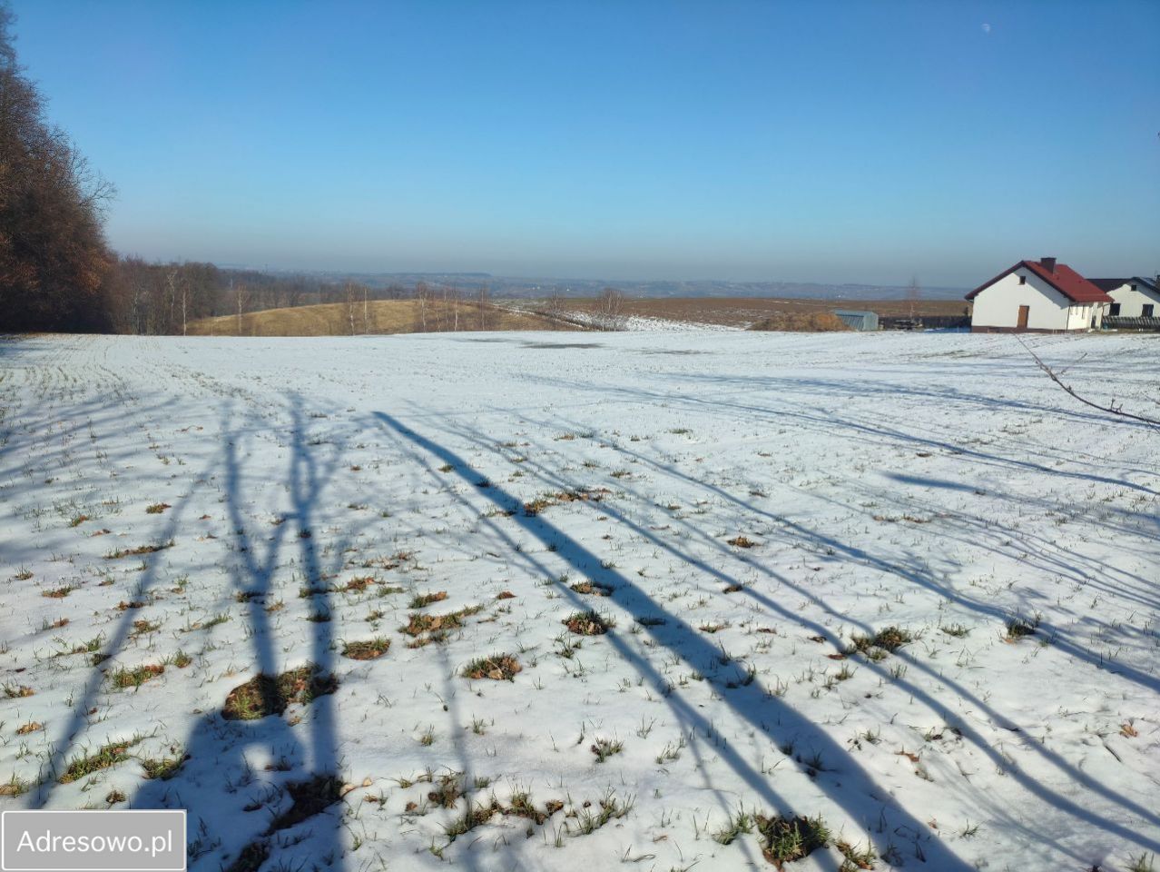 Działka budowlana Celiny. Zdjęcie 2