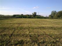 Działka rolna Miedzechów. Zdjęcie 4