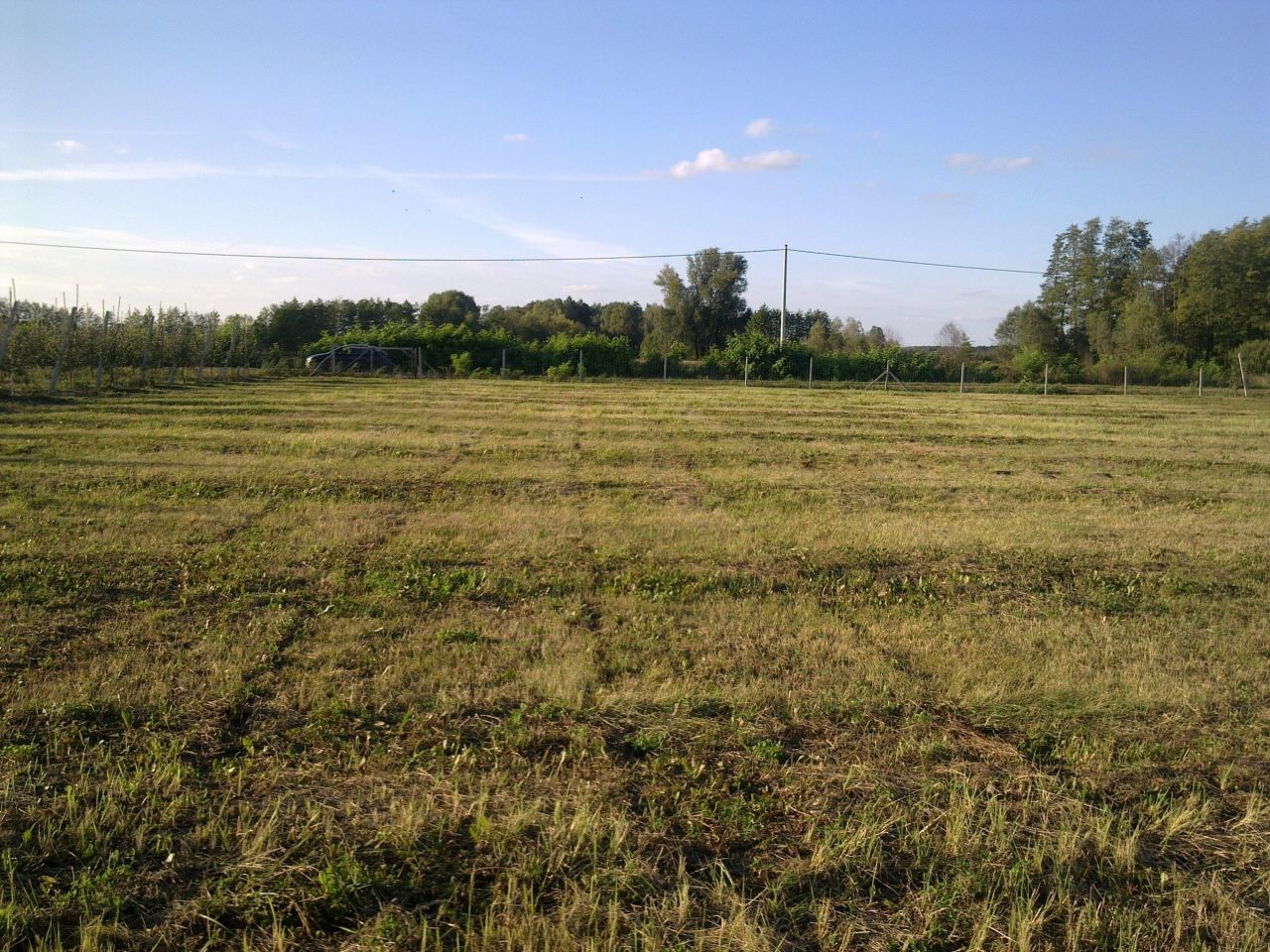 Działka rolna Miedzechów. Zdjęcie 5