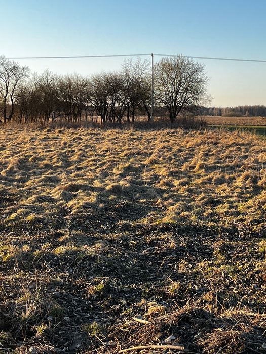 Działka rekreacyjna Grabniak. Zdjęcie 5