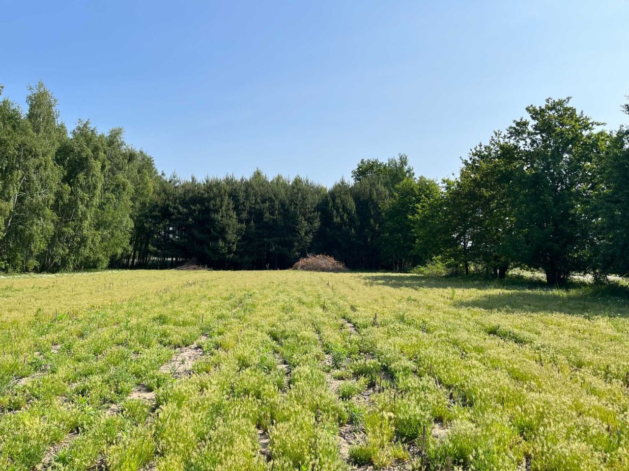 Działka budowlana Leśnica