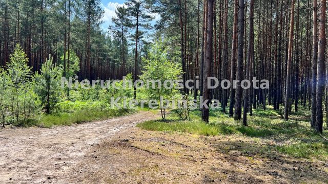Działka rekreacyjna Inowłódz. Zdjęcie 3