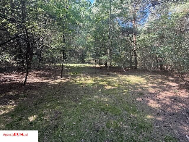 Działka budowlana Siestrzeń. Zdjęcie 7