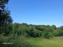 Działka Muszkowice. Zdjęcie 1