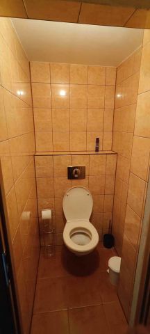 dom wolnostojący, 10 pokoi Ustroń. Zdjęcie 23